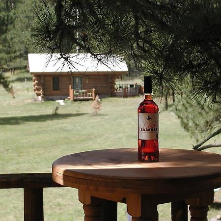 Renegade Log Cabin Custer Ngoại thất bức ảnh