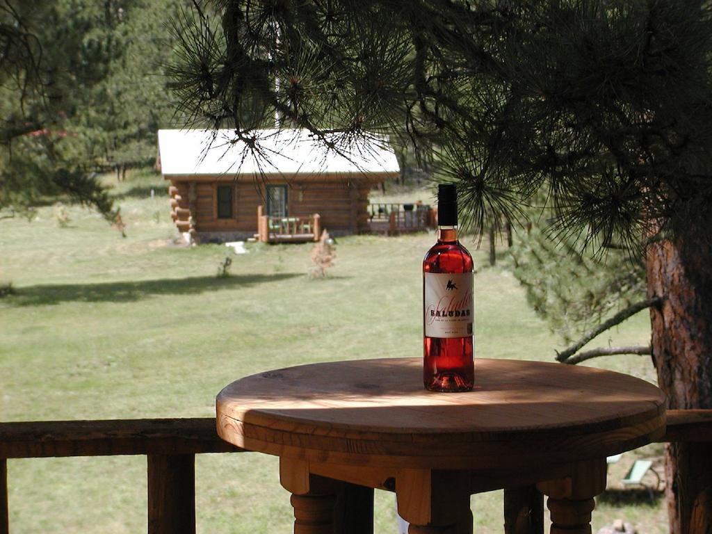 Renegade Log Cabin Custer Ngoại thất bức ảnh