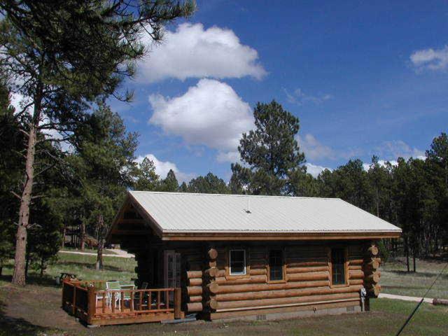 Renegade Log Cabin Custer Ngoại thất bức ảnh