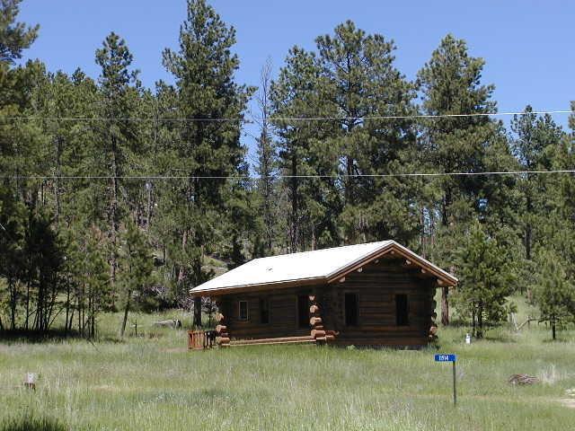 Renegade Log Cabin Custer Ngoại thất bức ảnh