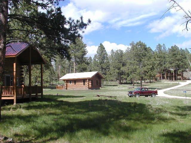 Renegade Log Cabin Custer Ngoại thất bức ảnh